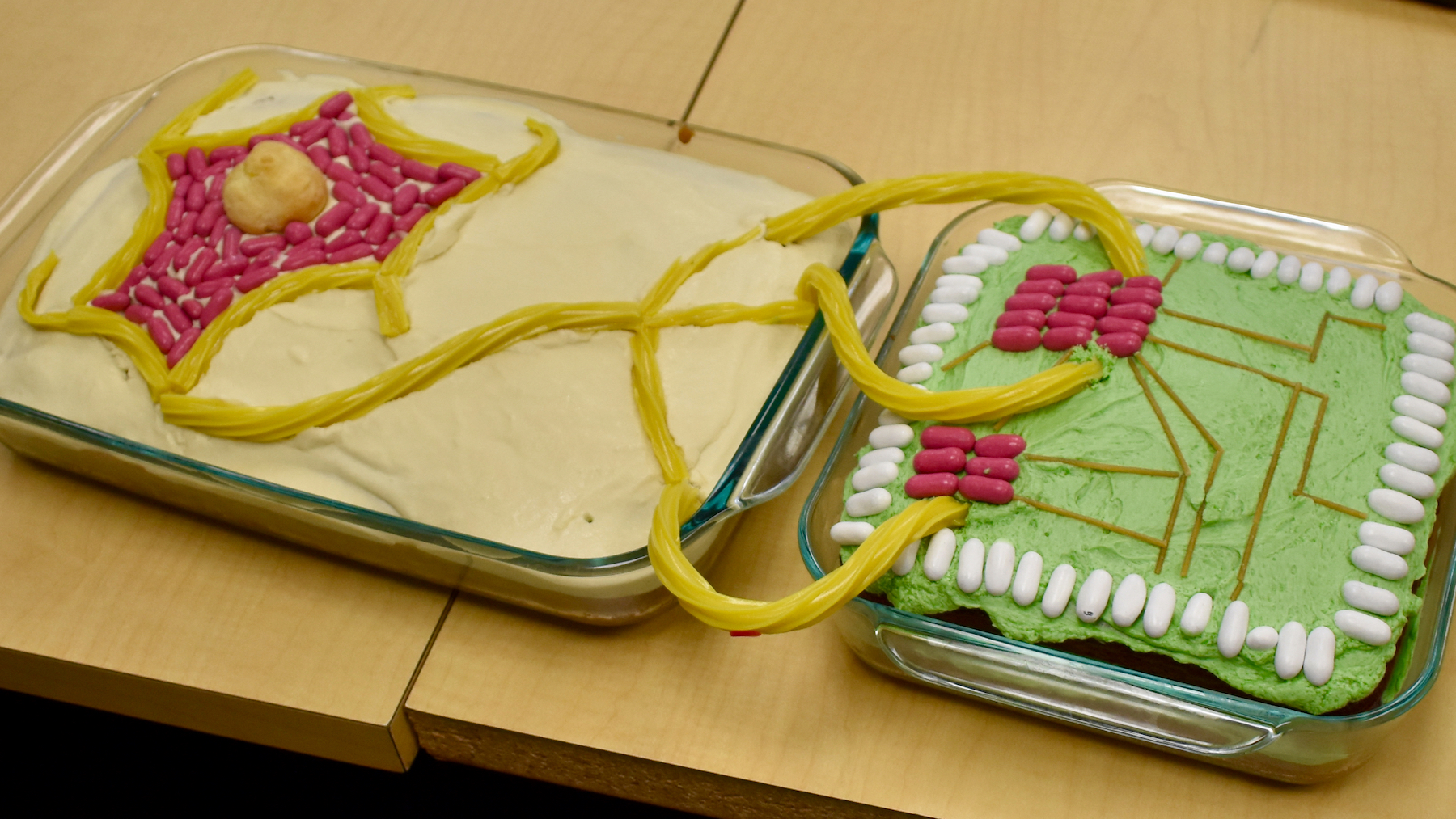 Two cakes, one decorated as a neuron, the other as a circuitboard, linked by Twizzlers representing neurons