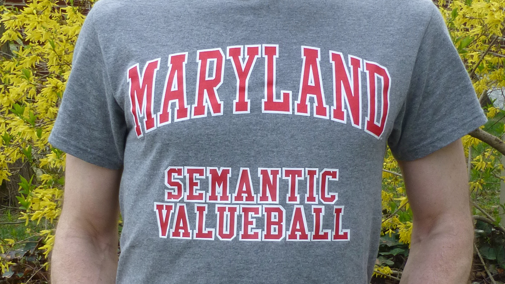 Close-up of a t-shirt, on a man standing in front of a blooming forsythia, which reads "Maryland Semantic Valueball"