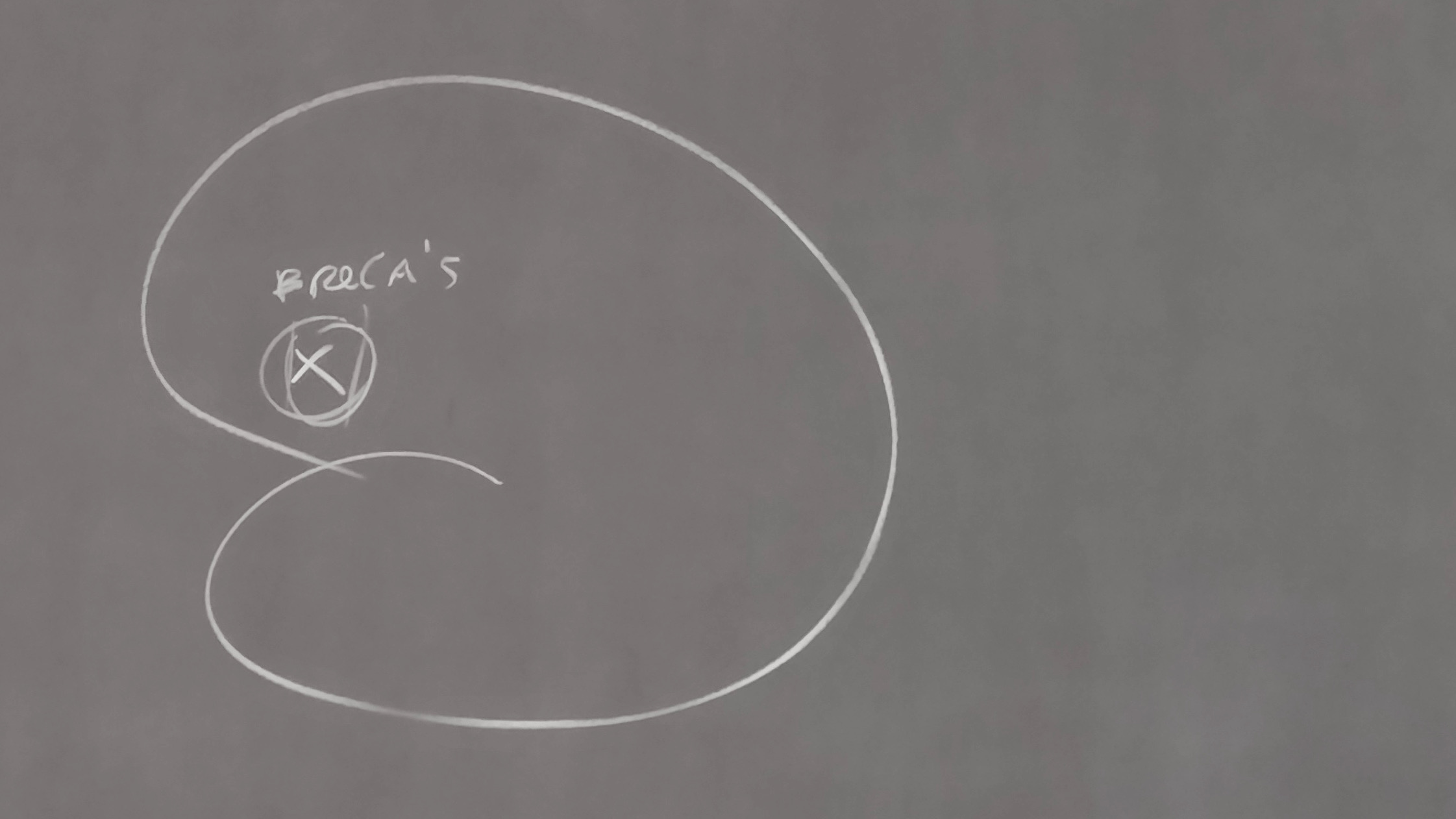 A primitive chalk sketch of a brain on a blackboard