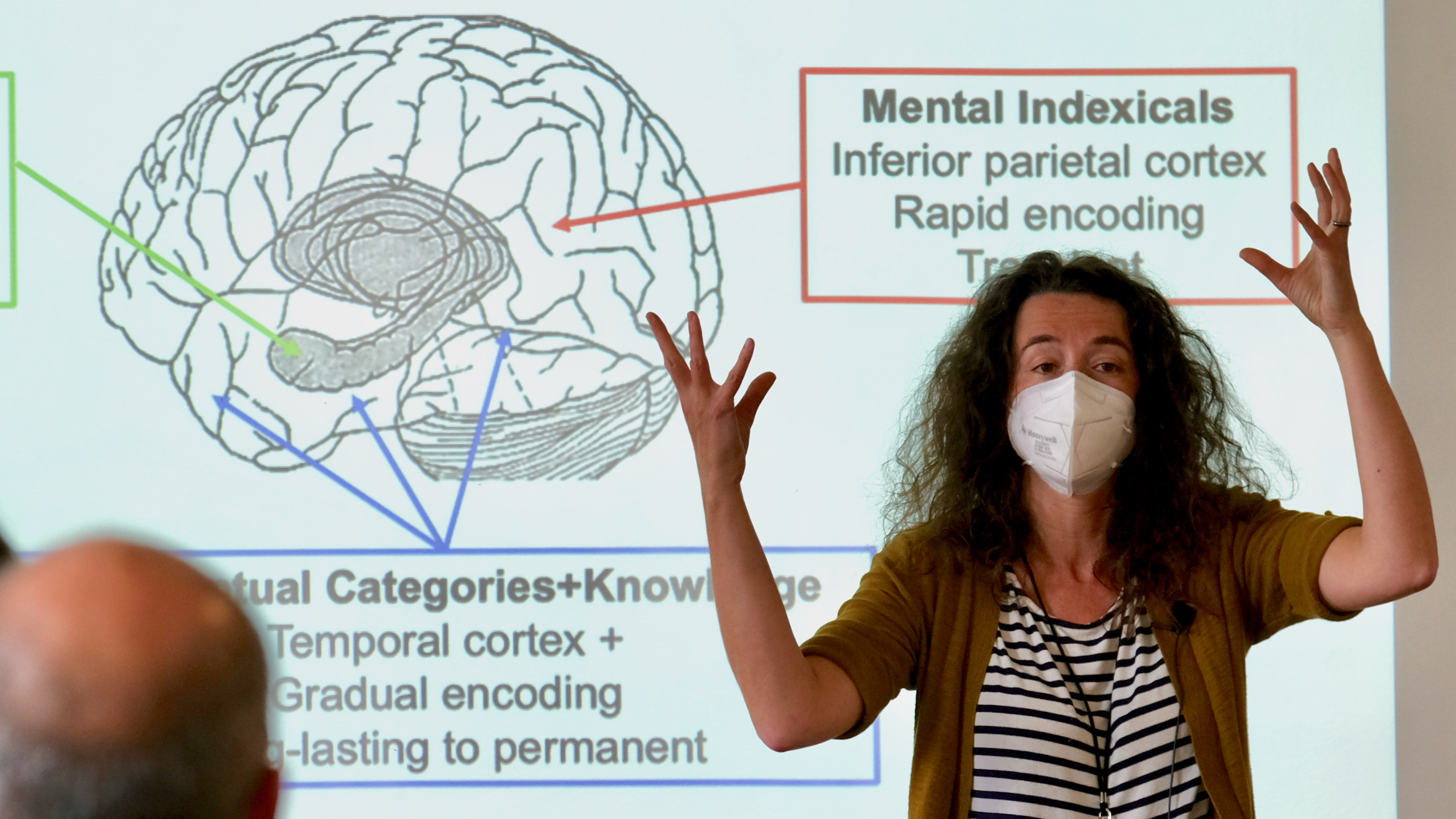 Ellen Lau, Professor of Neurolinguistics, gesticulating in front of a screen showing an image of the brain, with the phrase "Mental Indexicals" in a box, pointing at the hippocampus.