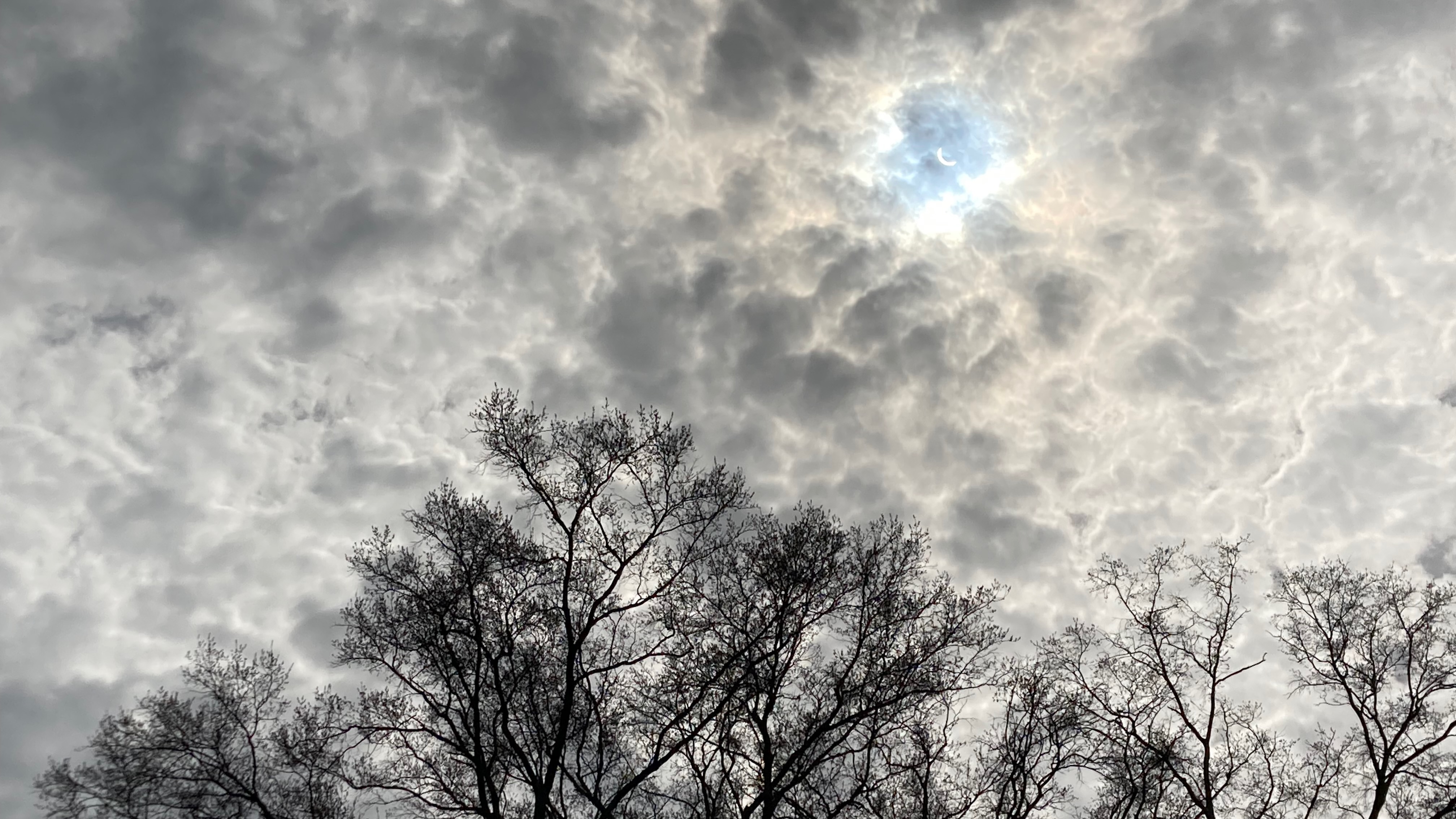 Photograph of the eclipse over Marie Mount Hall.