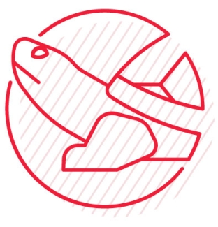 Red line icon of a terrapin (turtle) in profile within a circular outline, representing the University of Maryland mascot.